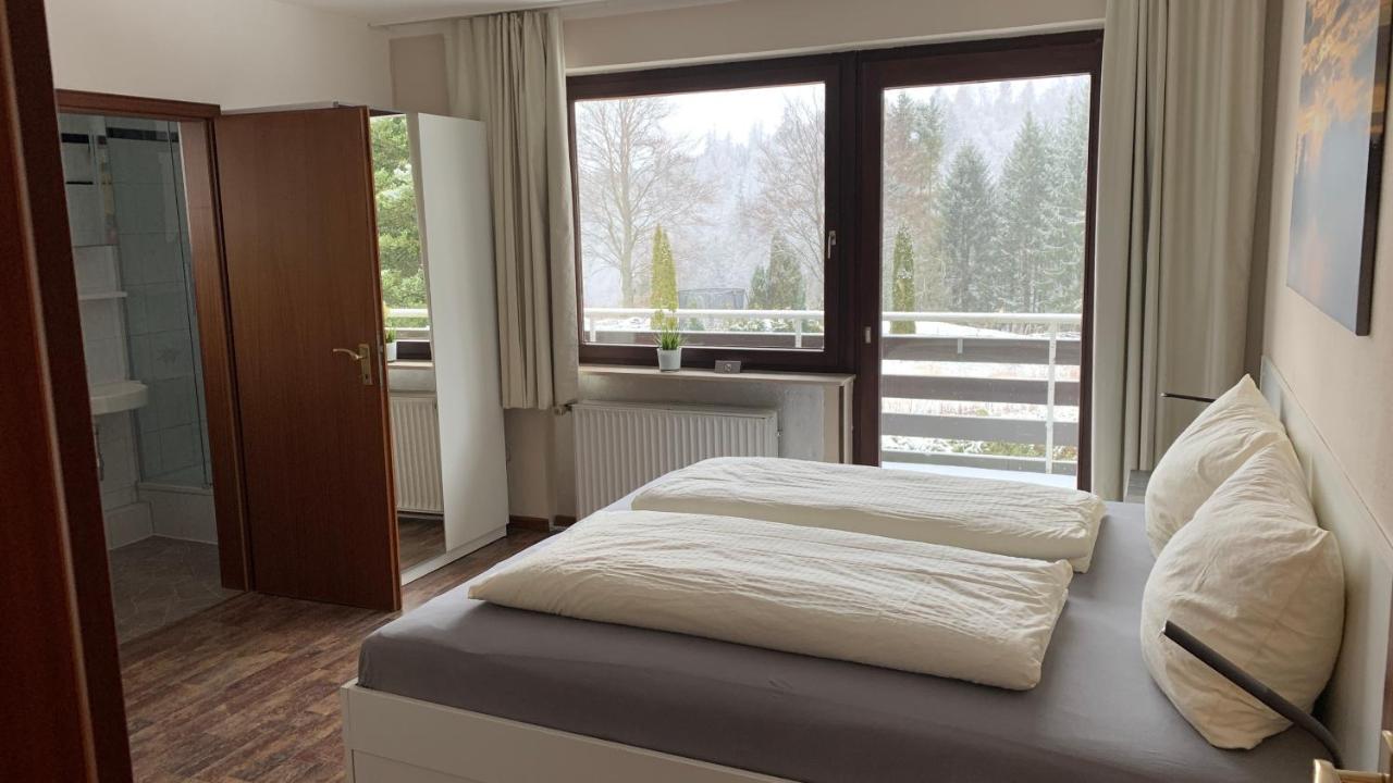 Harzkieker Apartment